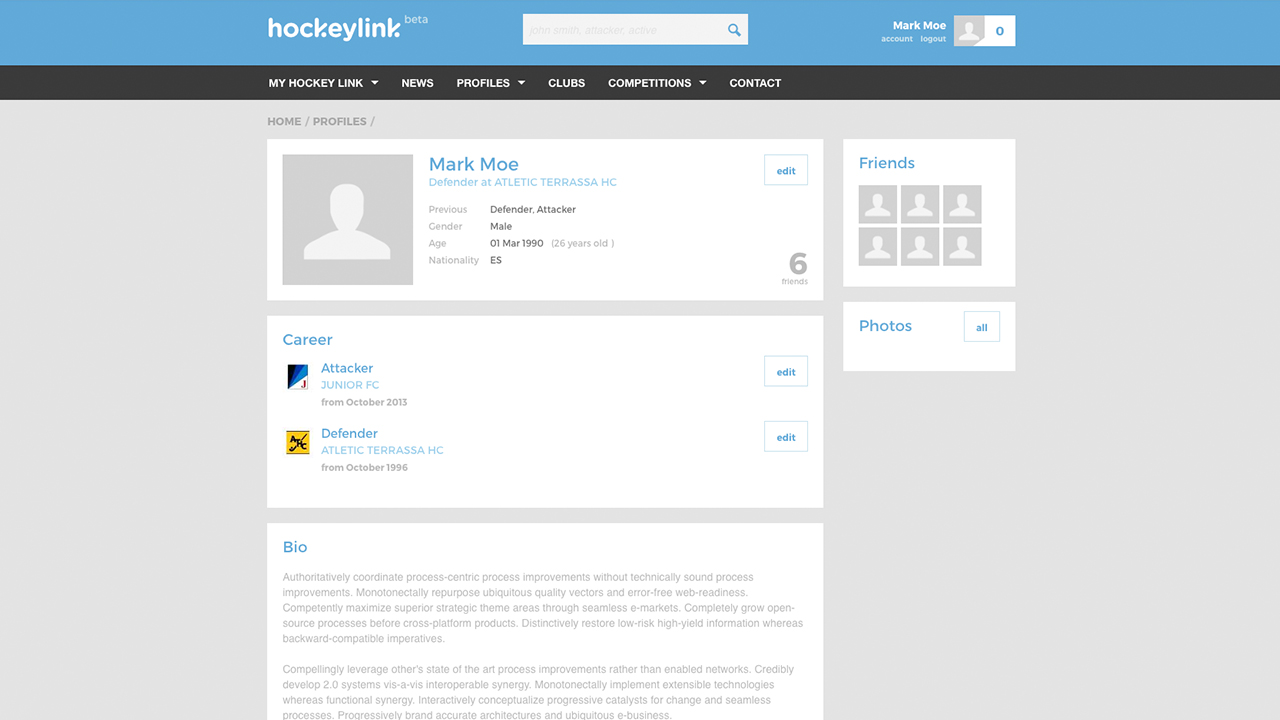 Hockeylink profile view screenshot with the career, skills and biography