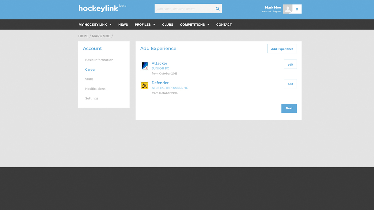 Hockeylink profile career editor